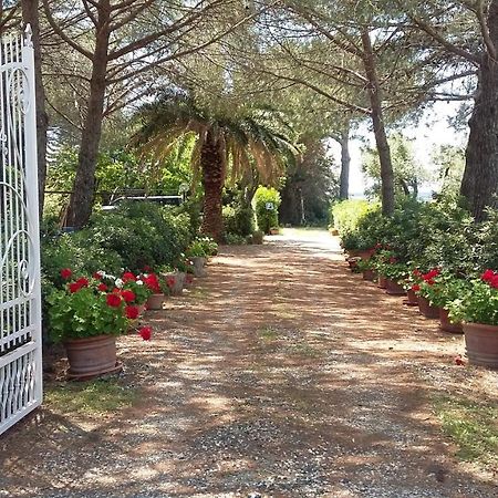 Campo Alle More Apartment Cecina  Bagian luar foto