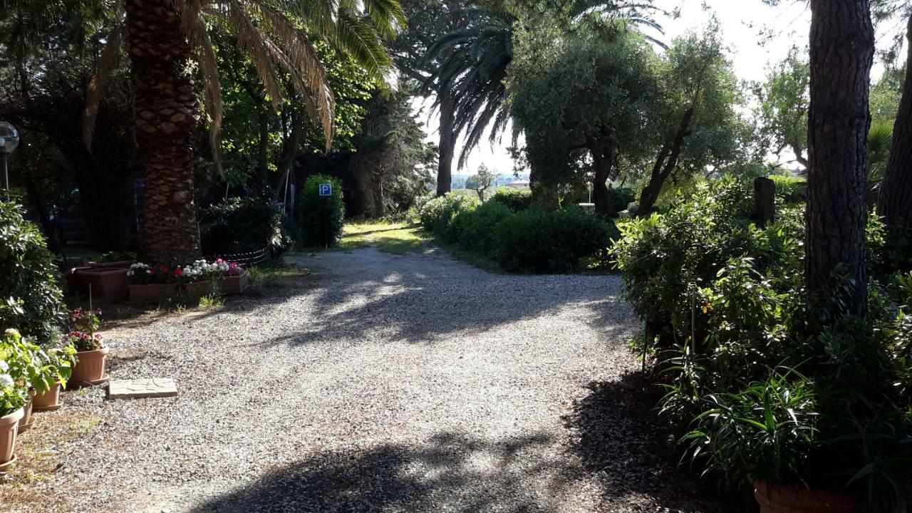 Campo Alle More Apartment Cecina  Bagian luar foto