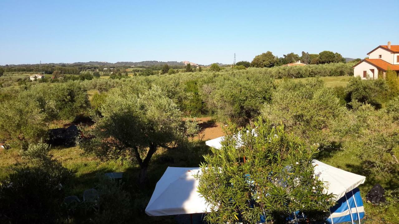 Campo Alle More Apartment Cecina  Bagian luar foto