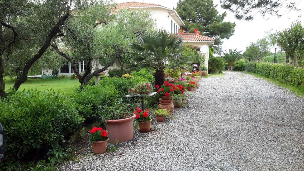 Campo Alle More Apartment Cecina  Bagian luar foto