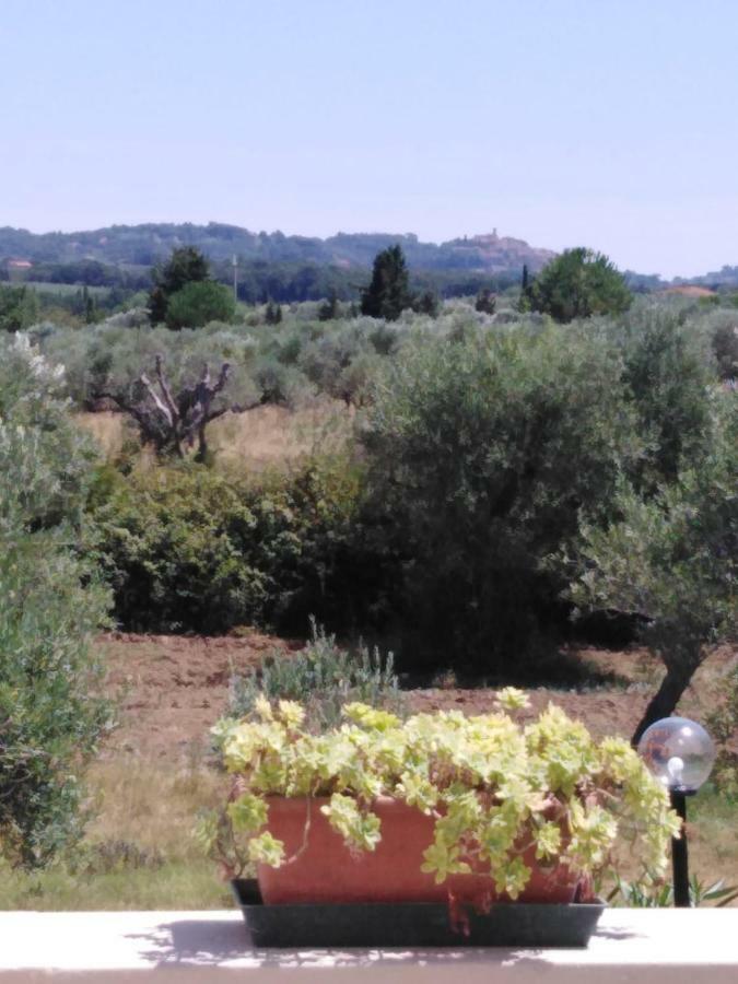 Campo Alle More Apartment Cecina  Bagian luar foto