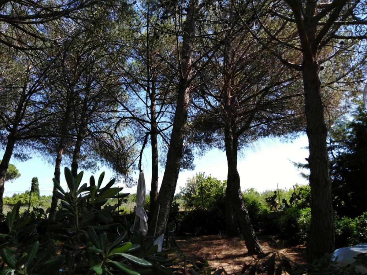 Campo Alle More Apartment Cecina  Bagian luar foto